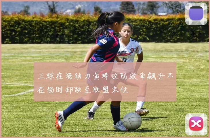 三球在场助力黄蜂攻防效率飙升不在场时却跌至联盟末位